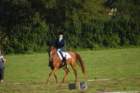 dsc_0381_small.jpg