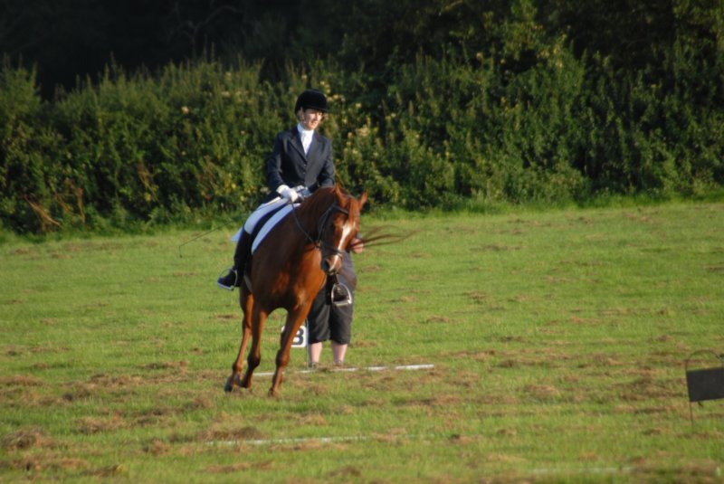 DSC_0383 dsc_0383.jpg