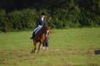 dsc_0383_small.jpg