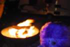 dsc_4439_small.jpg