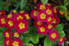 dsc_0127_small.jpg
