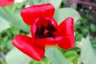 dsc_0128_small.jpg