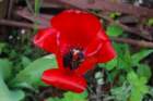 dsc_0132_small.jpg