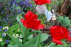 dsc_0134_small.jpg