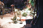 dsc_09192_small.jpg