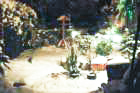 dsc_09202_small.jpg