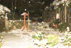 dsc_09212_small.jpg