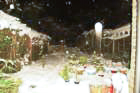 dsc_09242_small.jpg