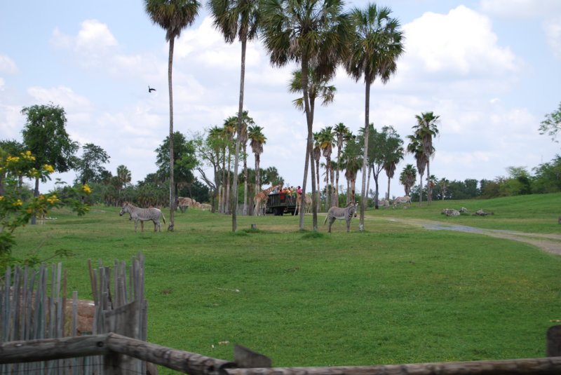 buschgardens036.jpg