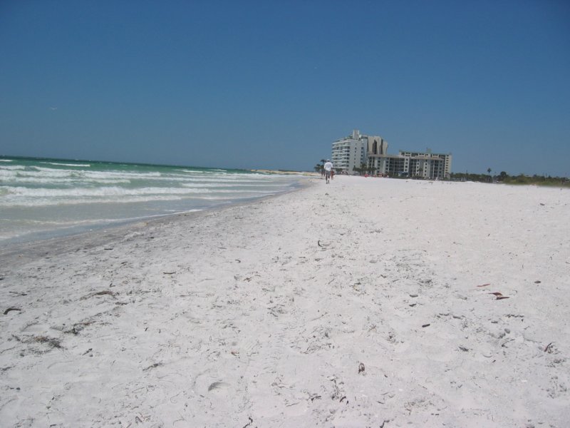 stpetebeach60.jpg