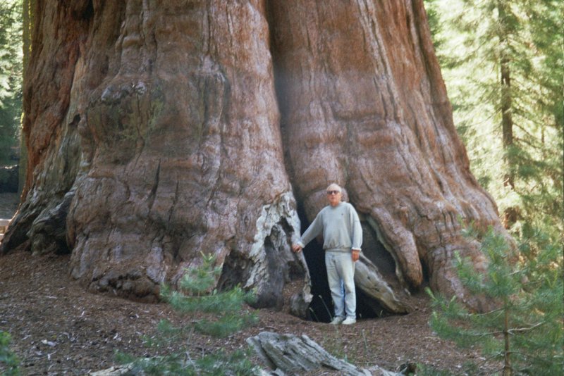 197 Al by General Sherman albygeneralsherman.jpg