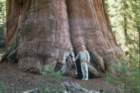 albygeneralsherman_small.jpg
