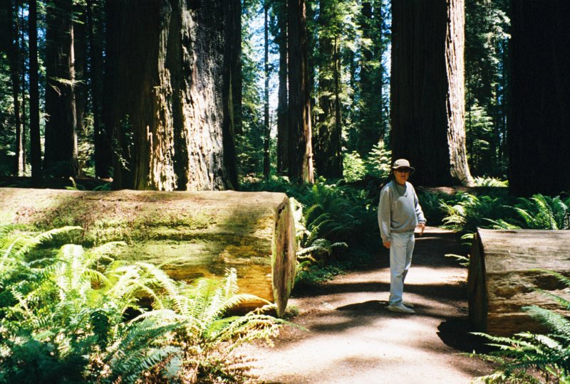 098 Al by redwood CA albyredwoodca.jpg