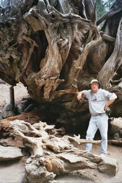 158 Al Dragon driftwood aldragondriftwood.jpg