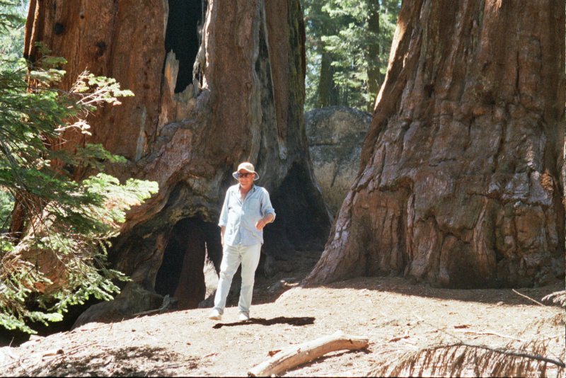 146 Al walks Sequoia Pk alwalkssequoiapk.jpg