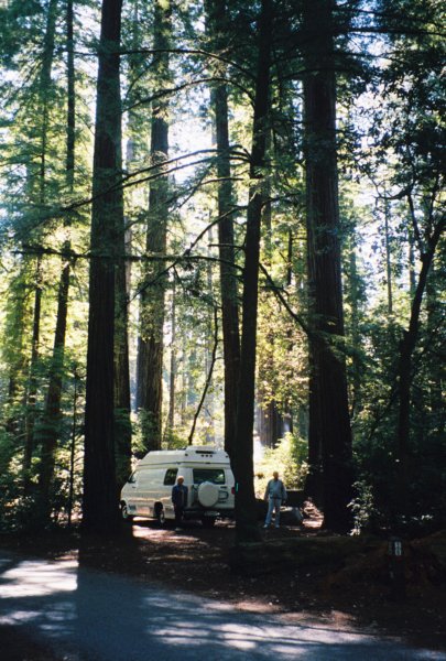 050 Camping in redwoods CA campinginredwoodsca.jpg