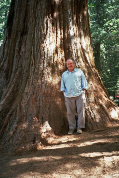 212 Casey by big tree caseybybigtree.jpg