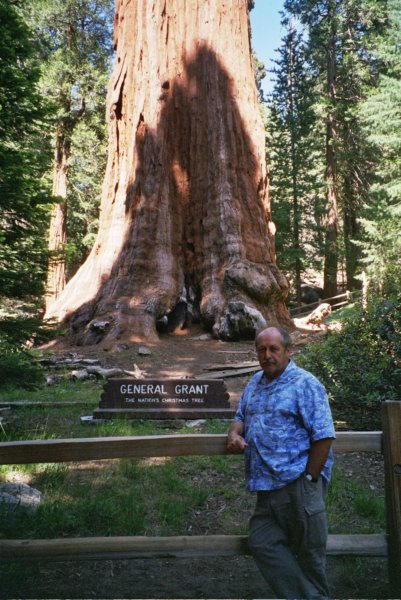 215 Casey by General Grant tree caseybygeneralgranttree.jpg