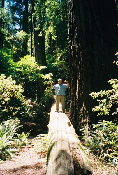 053 Casey Redwood Park CA caseyredwoodparkca.jpg