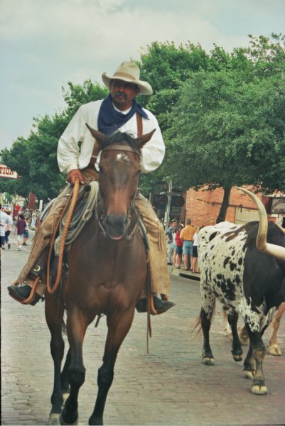 015 Texas Cowboy texascowboy.jpg