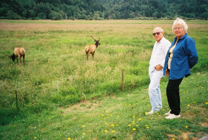 070 Vi Al Elk 2 CA vialelk2ca.jpg
