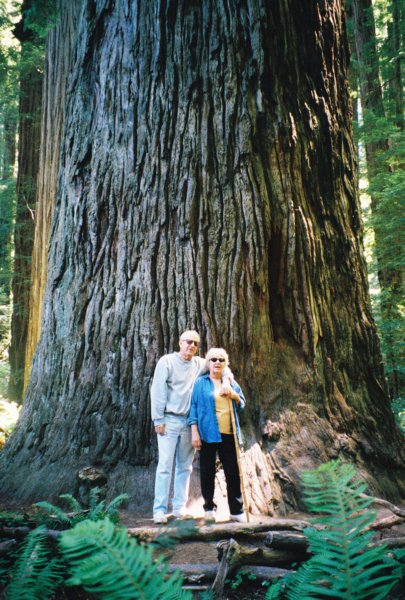 076 Vi Al redwood CA vialredwoodca.jpg