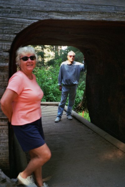 207 Vi and Al by hollow Sequoia viandalbyhollowsequoia.jpg