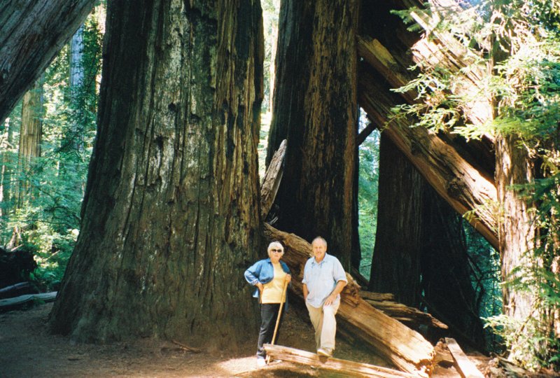 083 Vi and casey fallen redwoods viandcaseyfallenredwoods.jpg