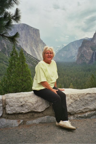 130 Vi at Yosemite Valley View area viatyosemitevalleyviewarea.jpg