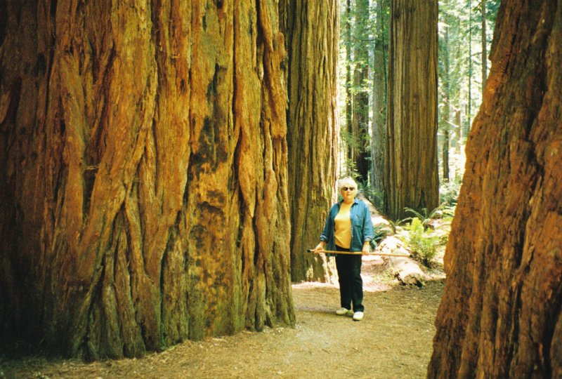 085 Vi by redwood CA vibyredwoodca.jpg