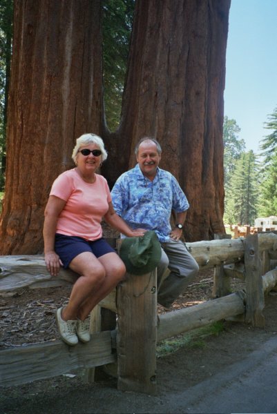 162 Vi Casey double Sequoia vicaseydoublesequoia.jpg