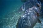 sepfamilycruiseday5cozumel00017_small.jpg
