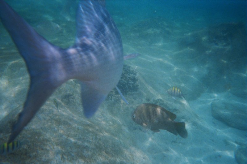 2005 Sep - Family Cruise Day 5 - Cozumel 00018 sepfamilycruiseday5cozumel00018.jpg