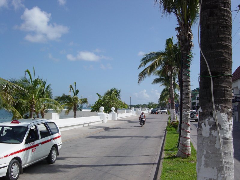 2005 Sep - Family Cruise Day 5 - Cozumel 00021 sepfamilycruiseday5cozumel00021.jpg