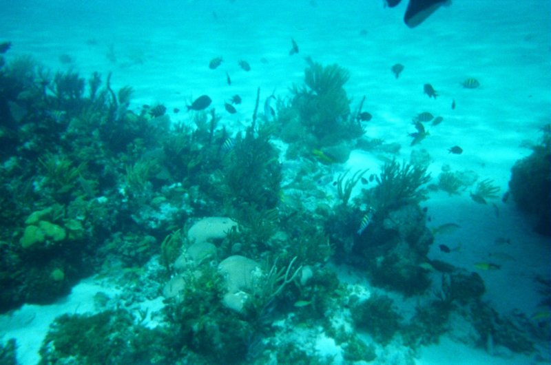 2005 Sep - Family Cruise Day 6 - Grand Cayman 00002 sepfamilycruiseday6grandcayman00002.jpg