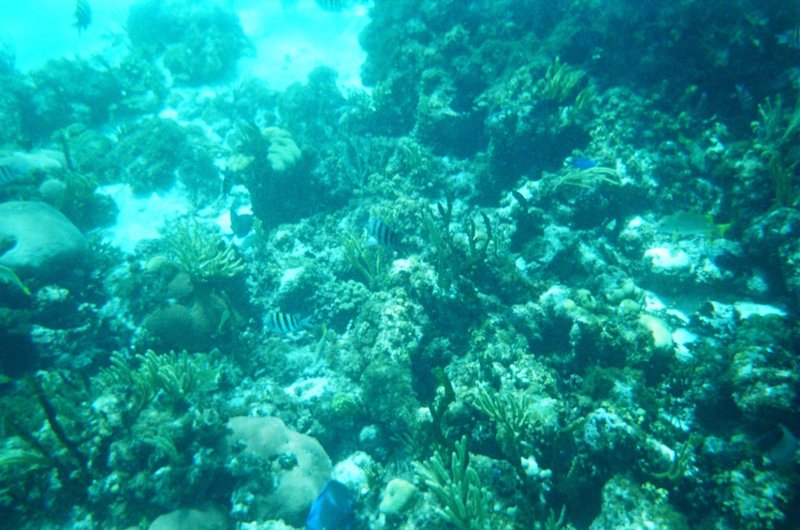 2005 Sep - Family Cruise Day 6 - Grand Cayman 00005 sepfamilycruiseday6grandcayman00005.jpg