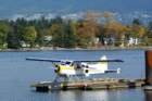 sepalaskaday3suncoalkeydeparting00032_small.jpg