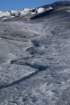 sepalaskaday7thujuneauhelicoptertoglacier0036_small.jpg