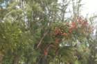 day10bridgetownbarbados05_small.jpg
