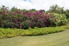 day10bridgetownbarbados07_small.jpg