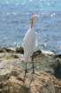 day14tortolabritishvirginislands12_small.jpg