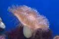 decmiamiaquarium02_small.jpg