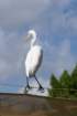 decmiamiaquarium12_small.jpg