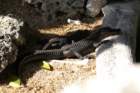 decmiamiaquarium17_small.jpg