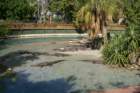 decmiamiaquarium19_small.jpg
