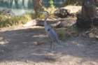 decmiamiaquarium20_small.jpg