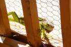 decmiamiaquarium21_small.jpg