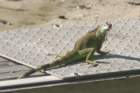 decmiamiaquarium22_small.jpg