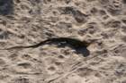 decmiamiaquarium24_small.jpg