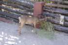 decmiamiaquarium25_small.jpg